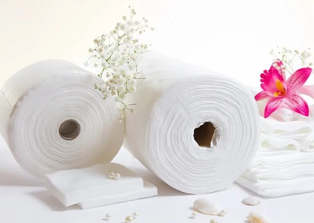 Premium toilet paper sheets for everyday use