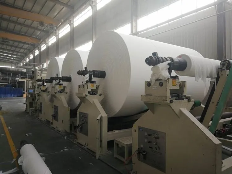 When Should You Consider Premium Multi-Ply Options?