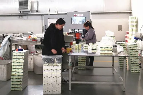 Toilet paper manufacturing process in a Chinese facility