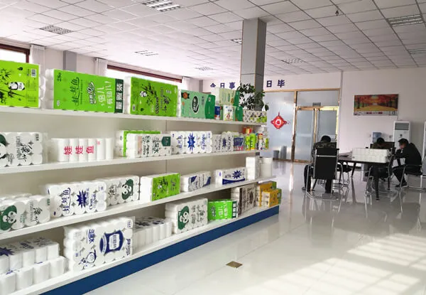 Interior view of a stylish toilet paper showroom showcasing various products