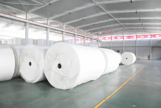 Top-rated manufacturer of premium toilet tissue products
