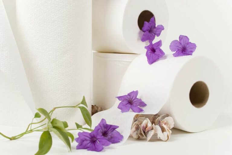 Why Is Toilet Paper Essential in The Modern World? Top Source Paper
