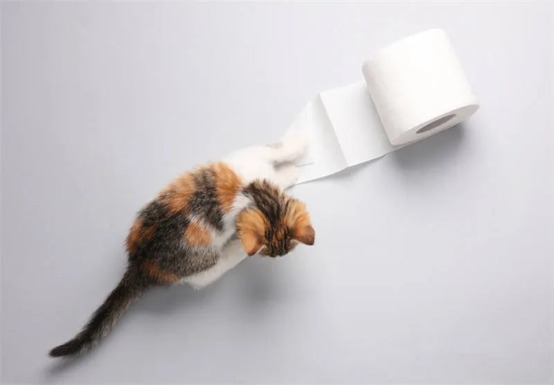 What Are the Benefits of Proper Tissue Paper Storage?