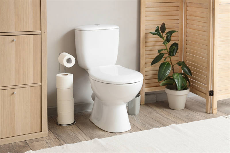 Bamboo vs. Traditional Toilet Paper: What Dissolves Better?