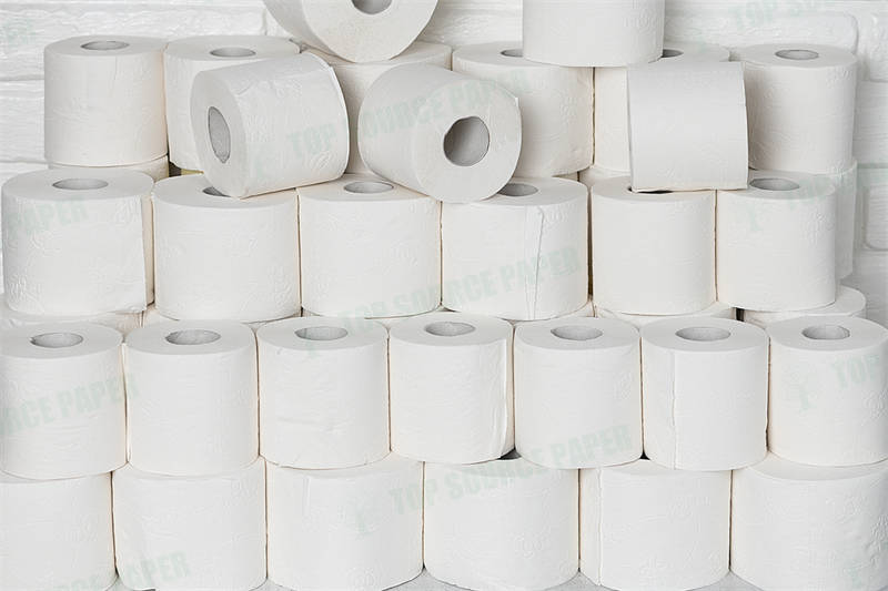 Integrating Sustainable Toilet Paper