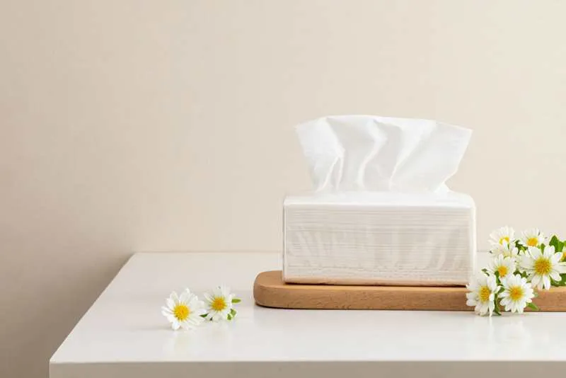 Open pack of tissue paper surrounded by vibrant chrysanthemums