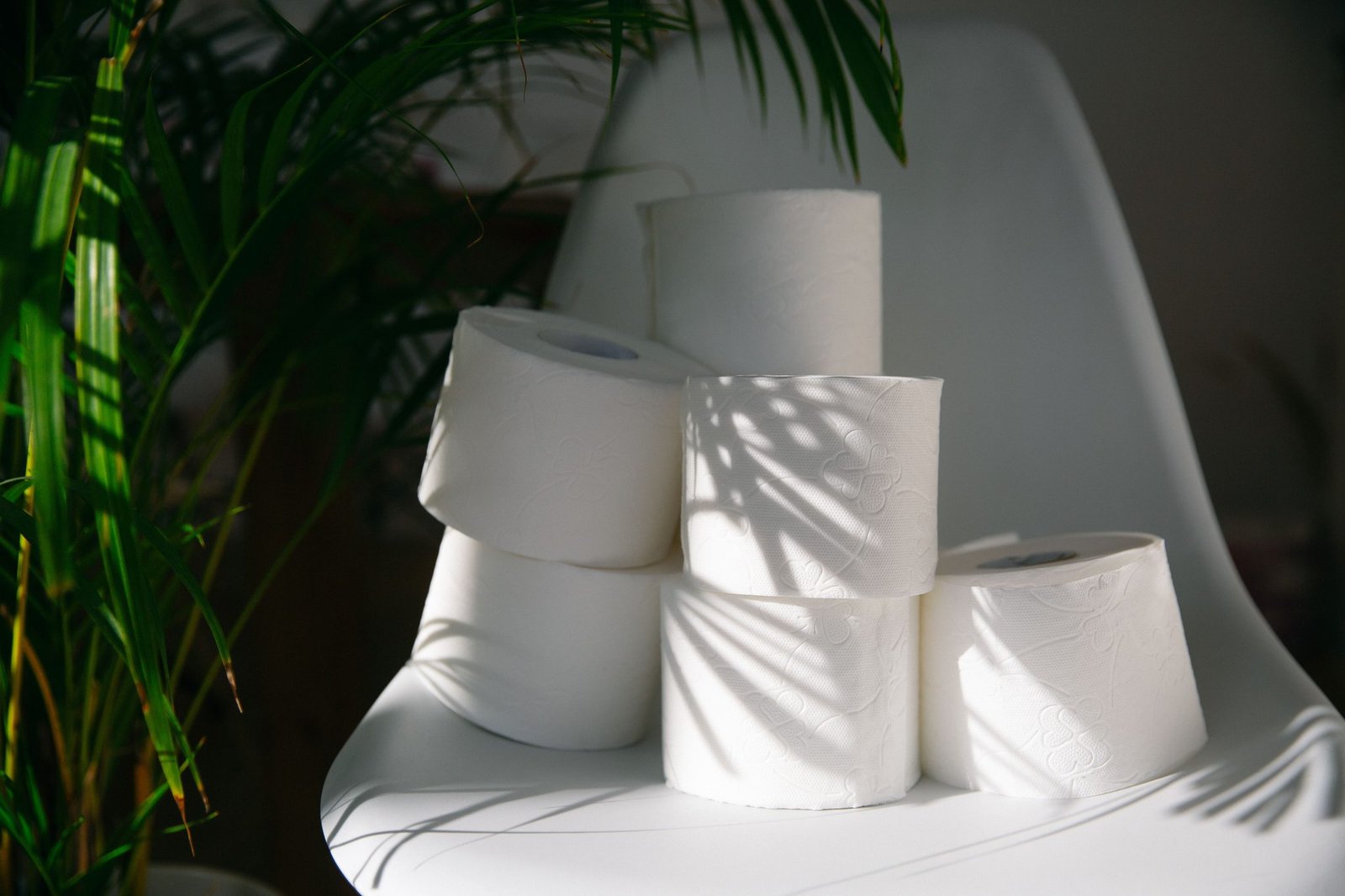 Embossed 100% virgin wood pulp toilet paper rolls stacked in a sunlit interior