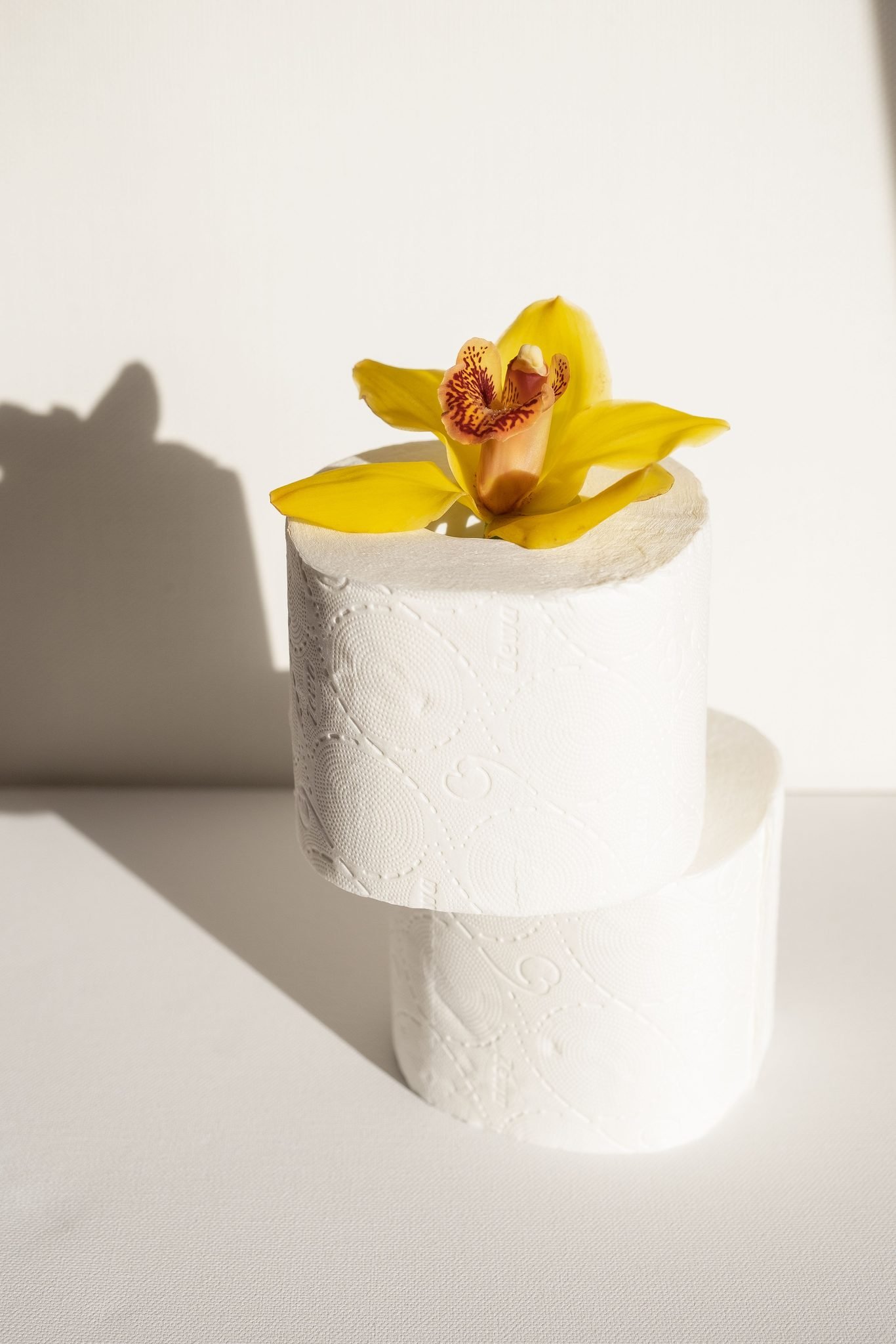 virgin wood pulp toilet paper roll, bulk bath tissue in real-life application scene, Top Source Paper