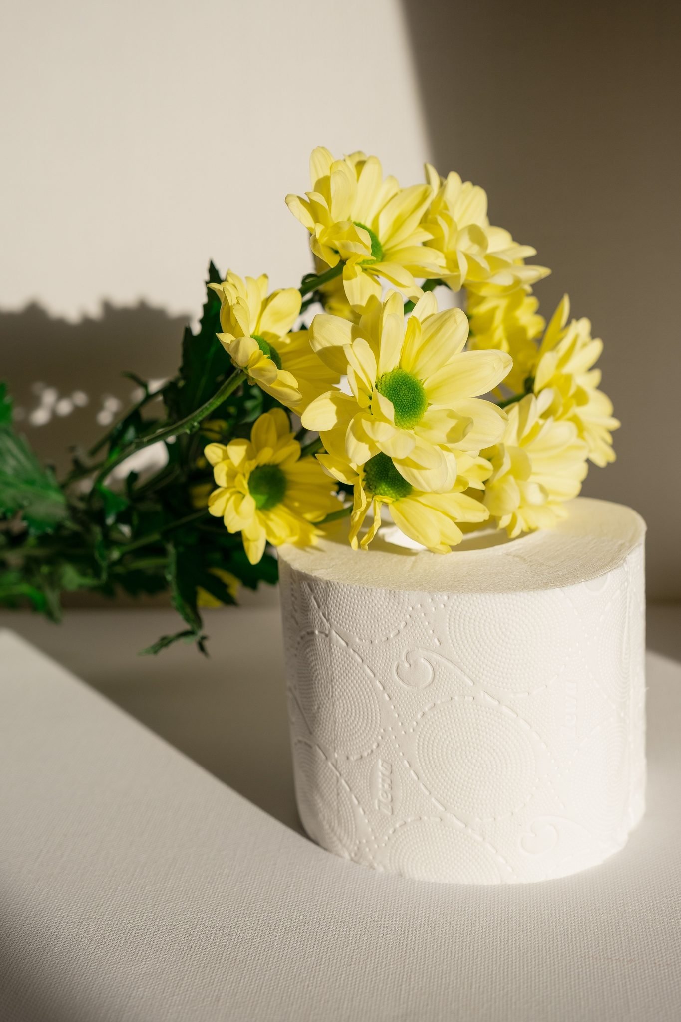 Cored toilet paper roll with micro embossing styled with yellow flowers