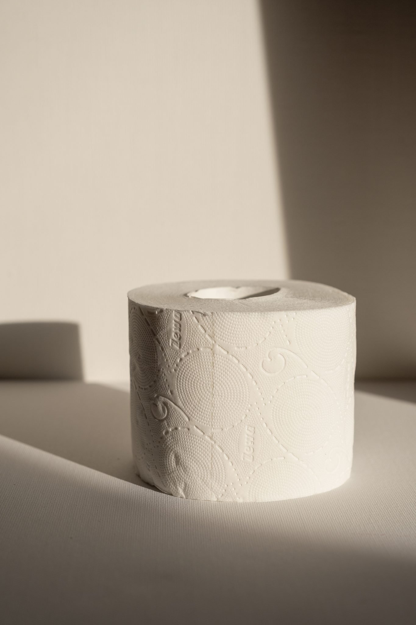 Single embossed toilet paper roll standing in daylight