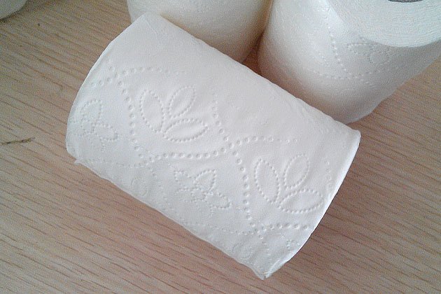 Flower embossing pattern close-up on a virgin pulp toilet paper roll
