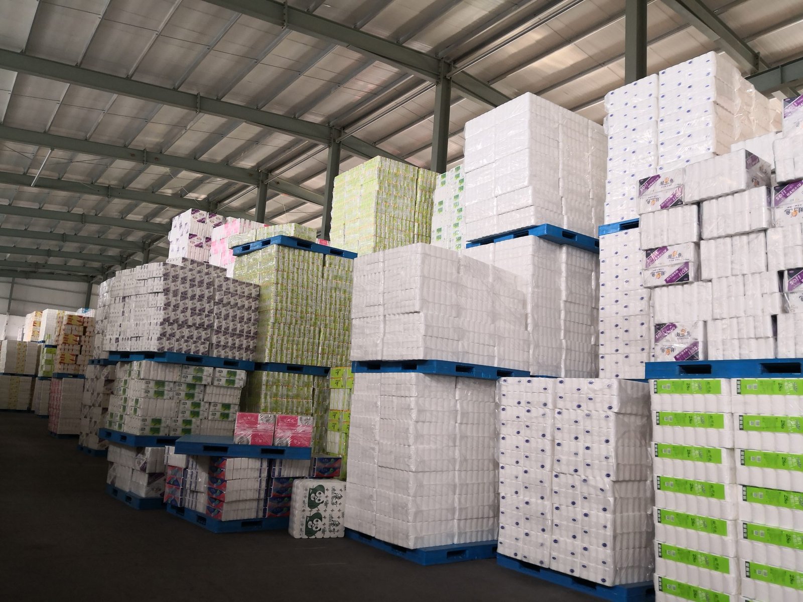 Organized parent roll storage at Top Source Paper warehouse in Baoding