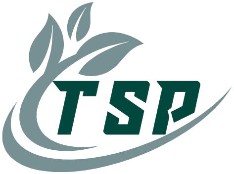 Top Source Paper logo - 100% virgin wood pulp hygiene paper manufacturer